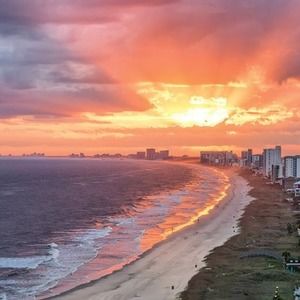 Meet your Posher, Carolyn